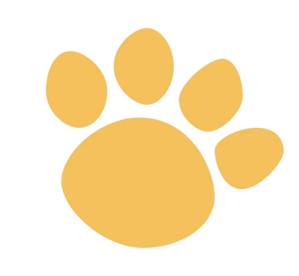 Cool Paws Club