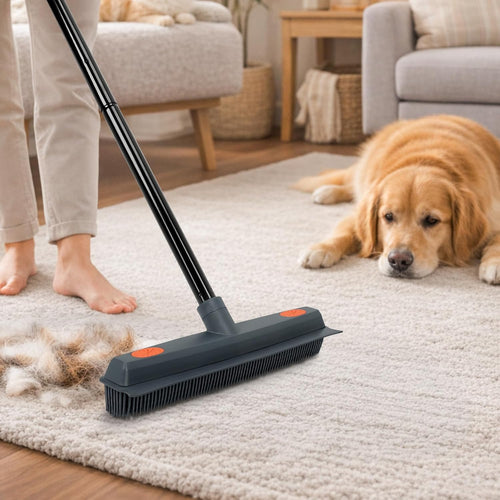 Pet Hair Removal Broom 